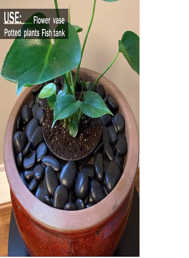 Ercole® Decorative & Stylish Polished Small Black Marble Pebbles for Aquariums Fish Tanks Vase Fillers Home Garden Decor (Black-Small, 500 Grams) - Image 2